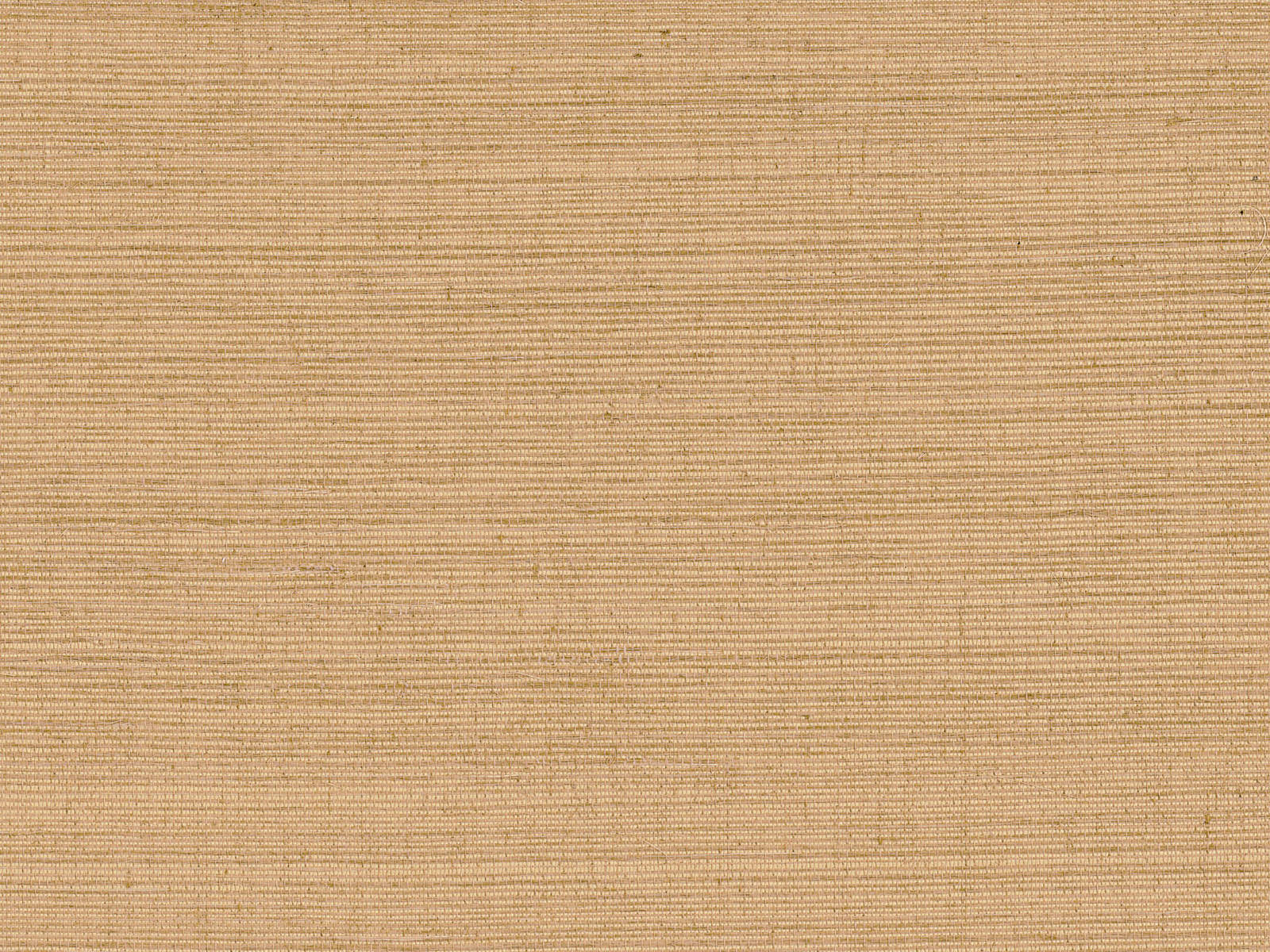 Casamance Sisalana Deserti - 70853762