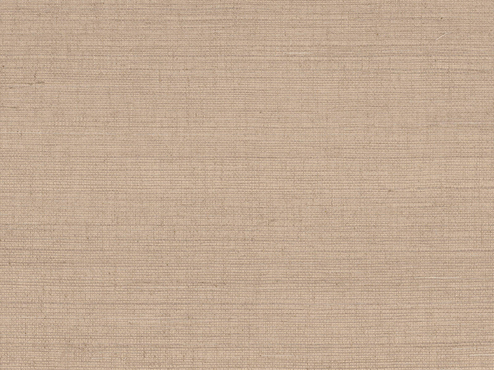Casamance Sisalana Deserti - 70854476