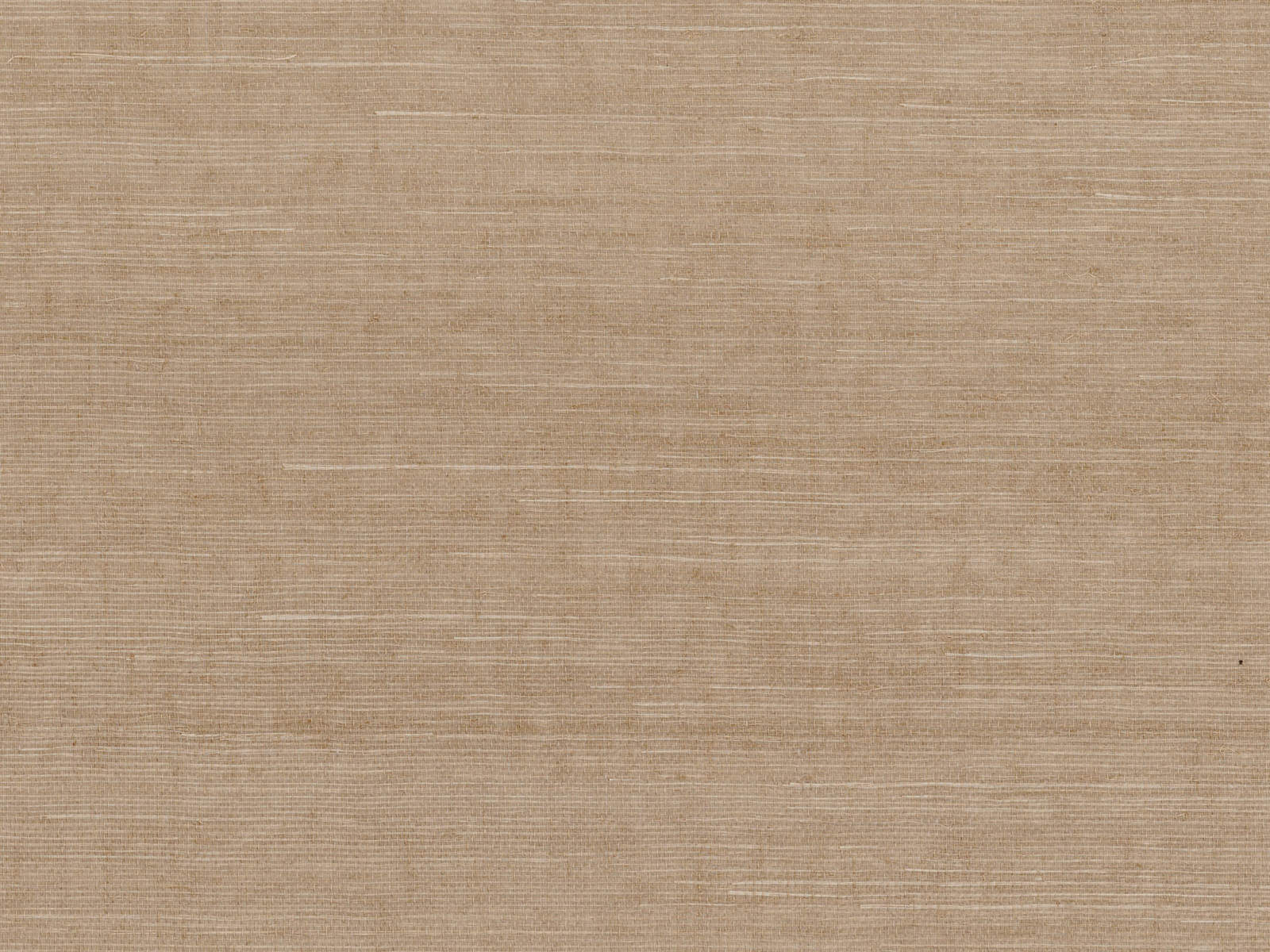 Casamance Sisalana Deserti - 70854578