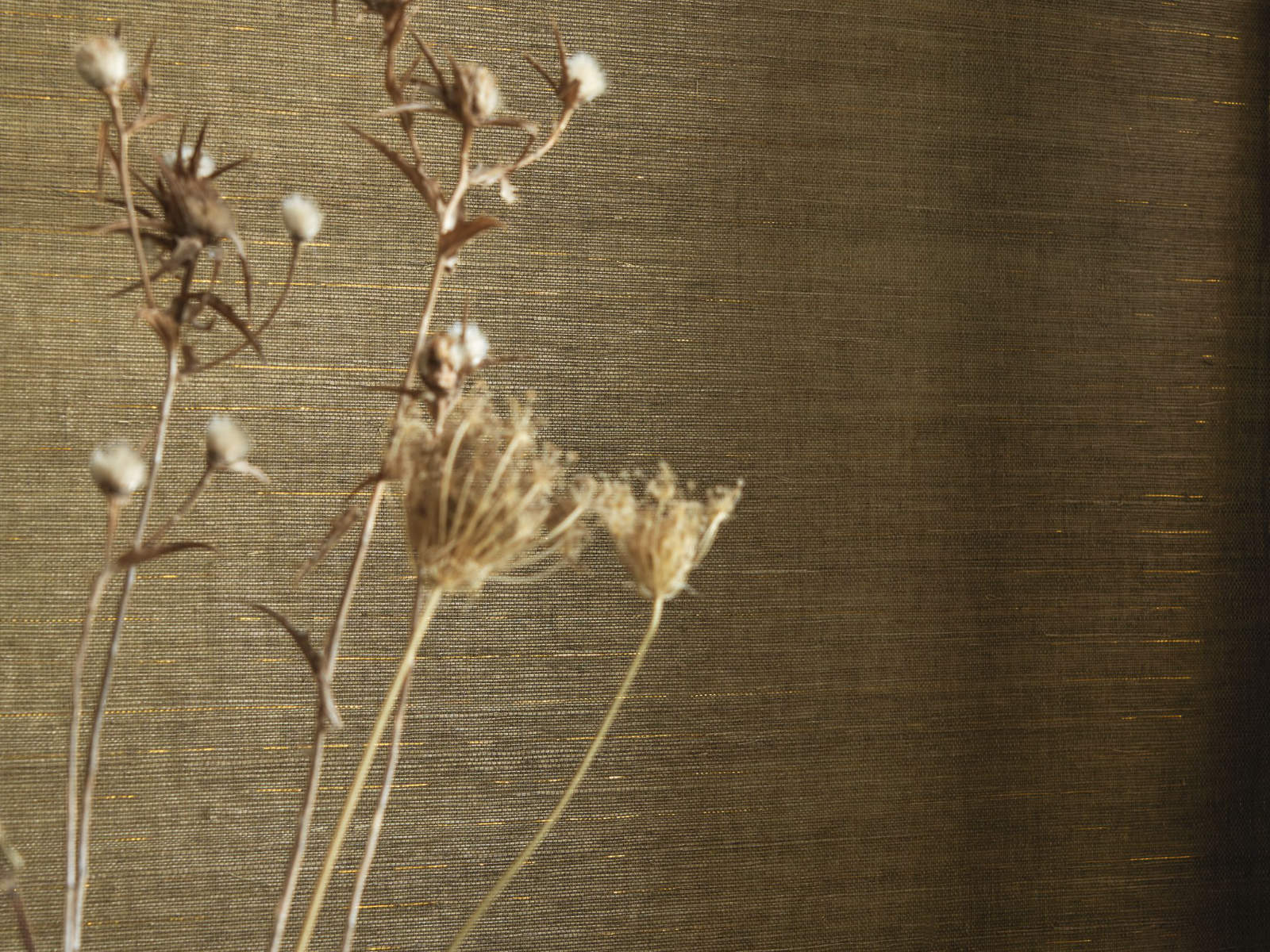 Casamance Sisalana Striata - 70882964