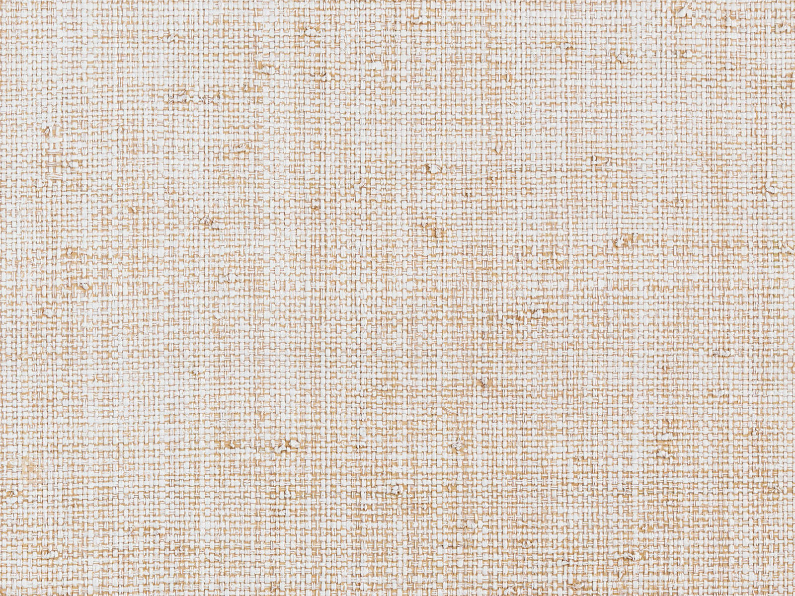 Casamance Solal Komba - 71160202