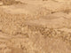 Casamance Panoramas Les Intemporels Almeria - 71220916