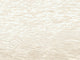 Casamance Exploration Côme - 71340151