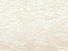 Casamance Exploration Côme - 71340151
