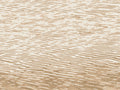 Casamance Exploration Côme - 71340252