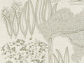 Casamance Hikari Hasu - 71360338