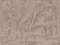 Casamance Exploration Maximus - 71580100