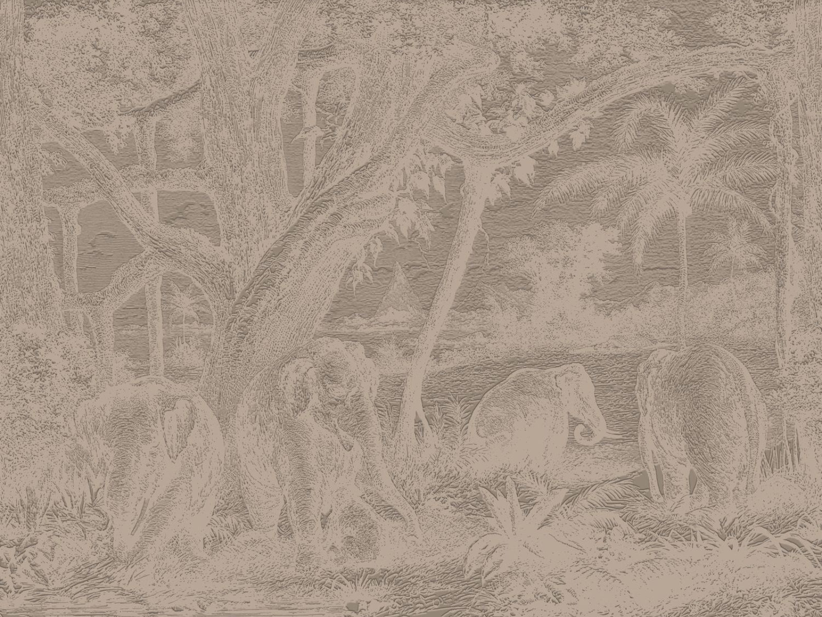Casamance Exploration Maximus - 71580100