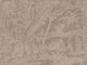 Casamance Exploration Maximus - 71580100