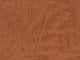 Casamance Exploration Maximus - 71580202