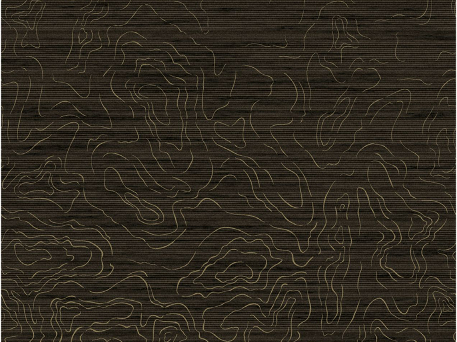 Casamance Exploration Ondes Précieuses - 71660123