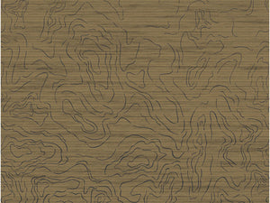 Casamance Exploration Ondes Précieuses - 71660353