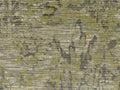 Casamance Manufactura Verdure - 71700355