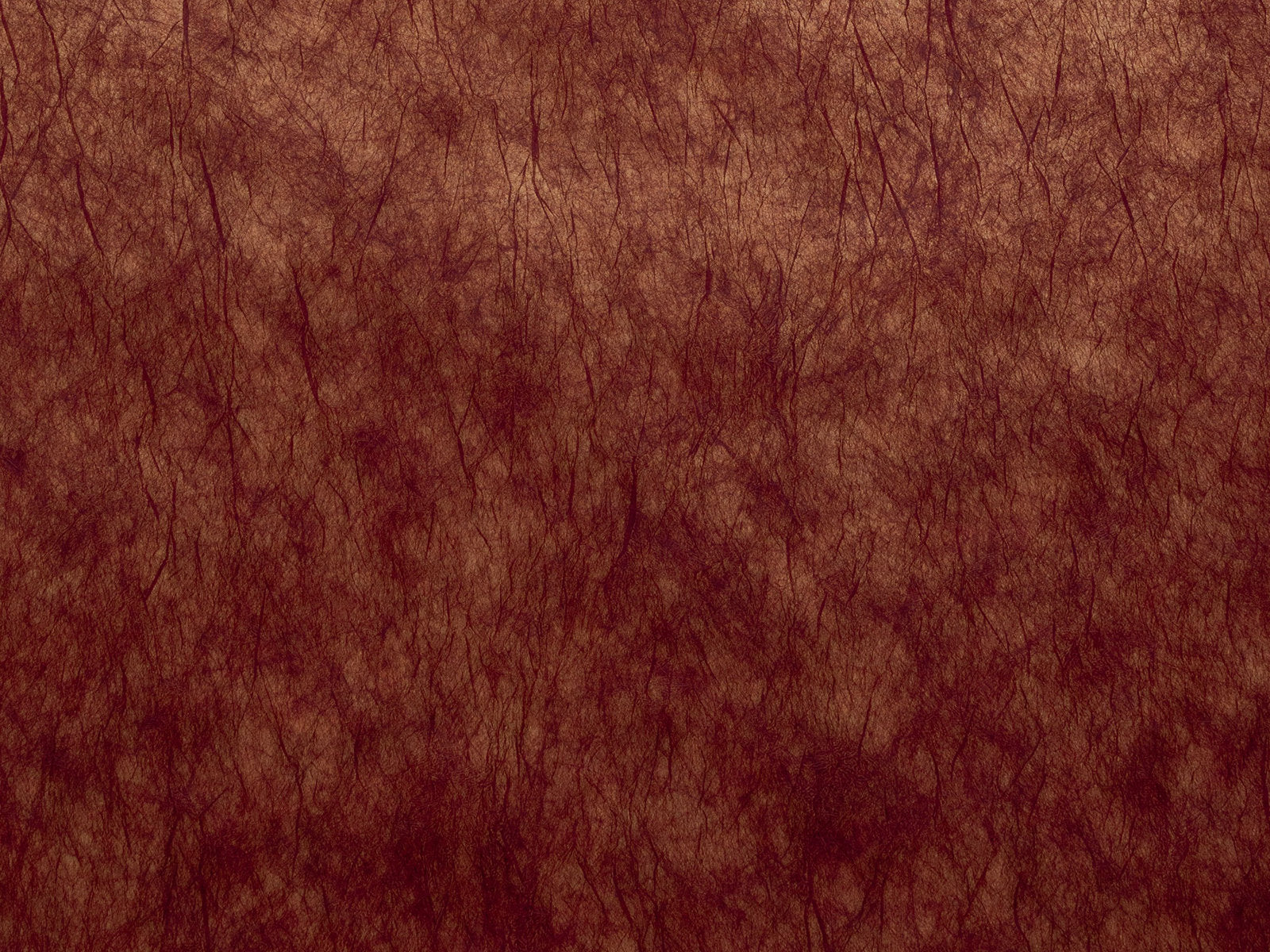 Casamance Impulsion Oxea - 71880929