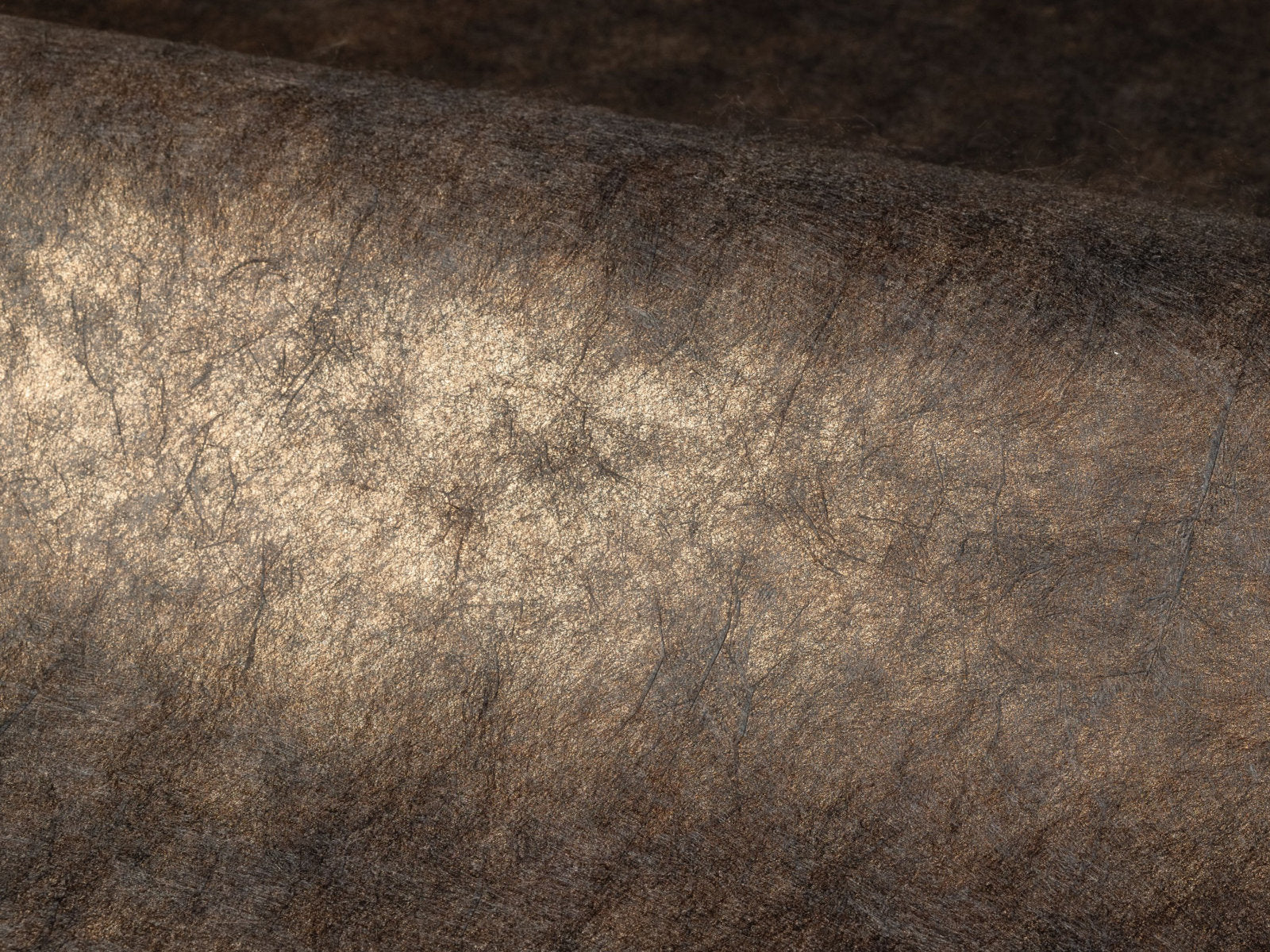 Casamance Impulsion Oxea - 71881199