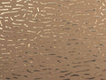 Casamance Impulsion Luméis - 71900363