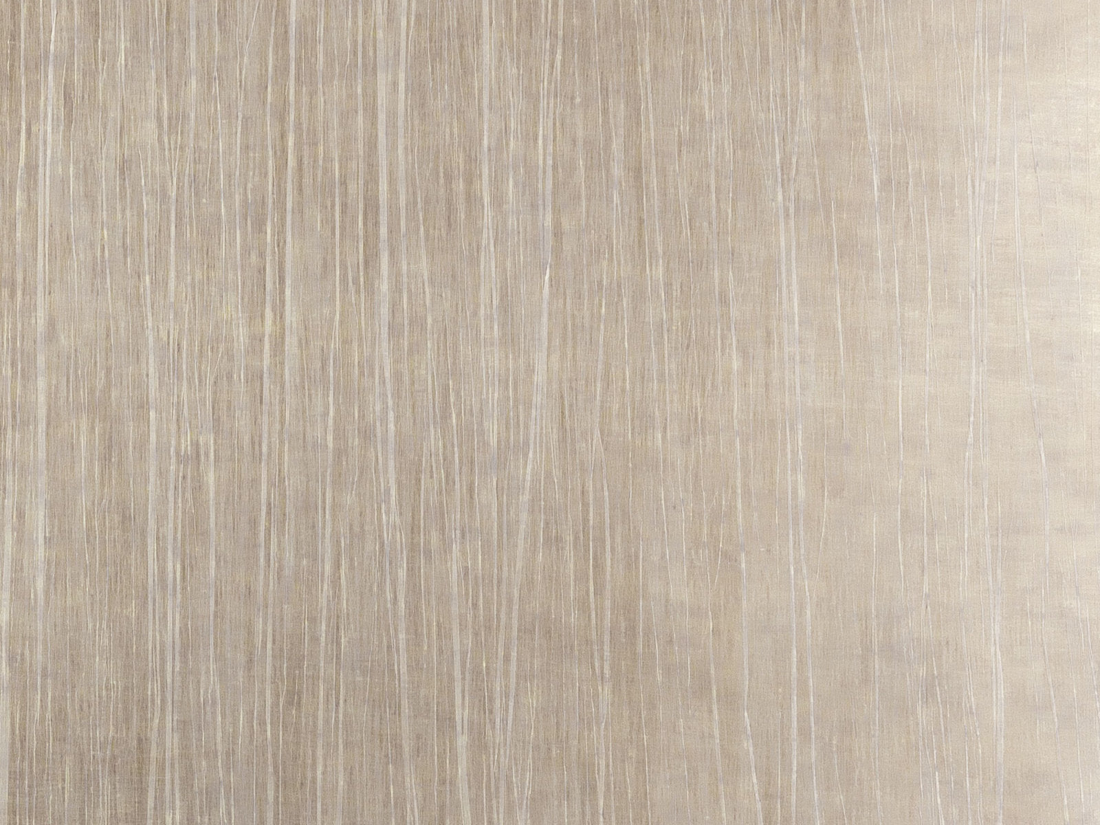 Casamance Impulsion Rai - 71910431