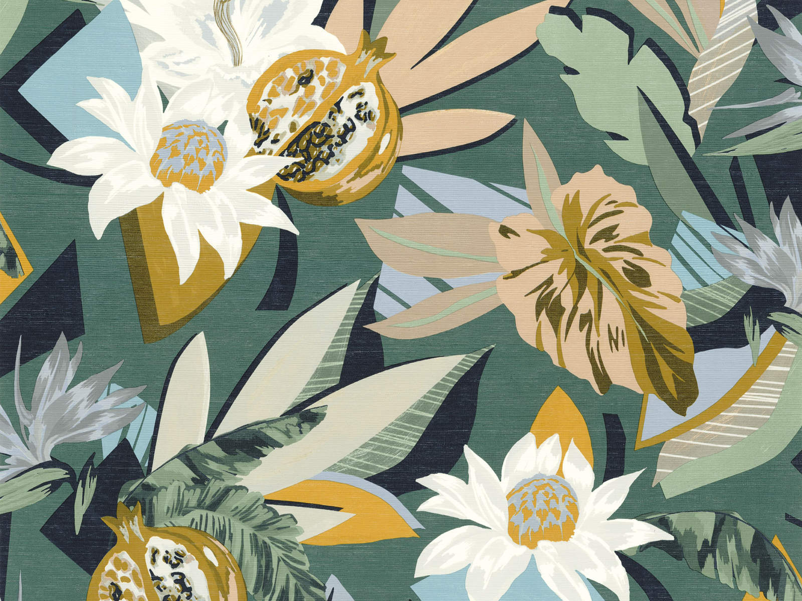 Casamance Aventura Salvador - 75531528