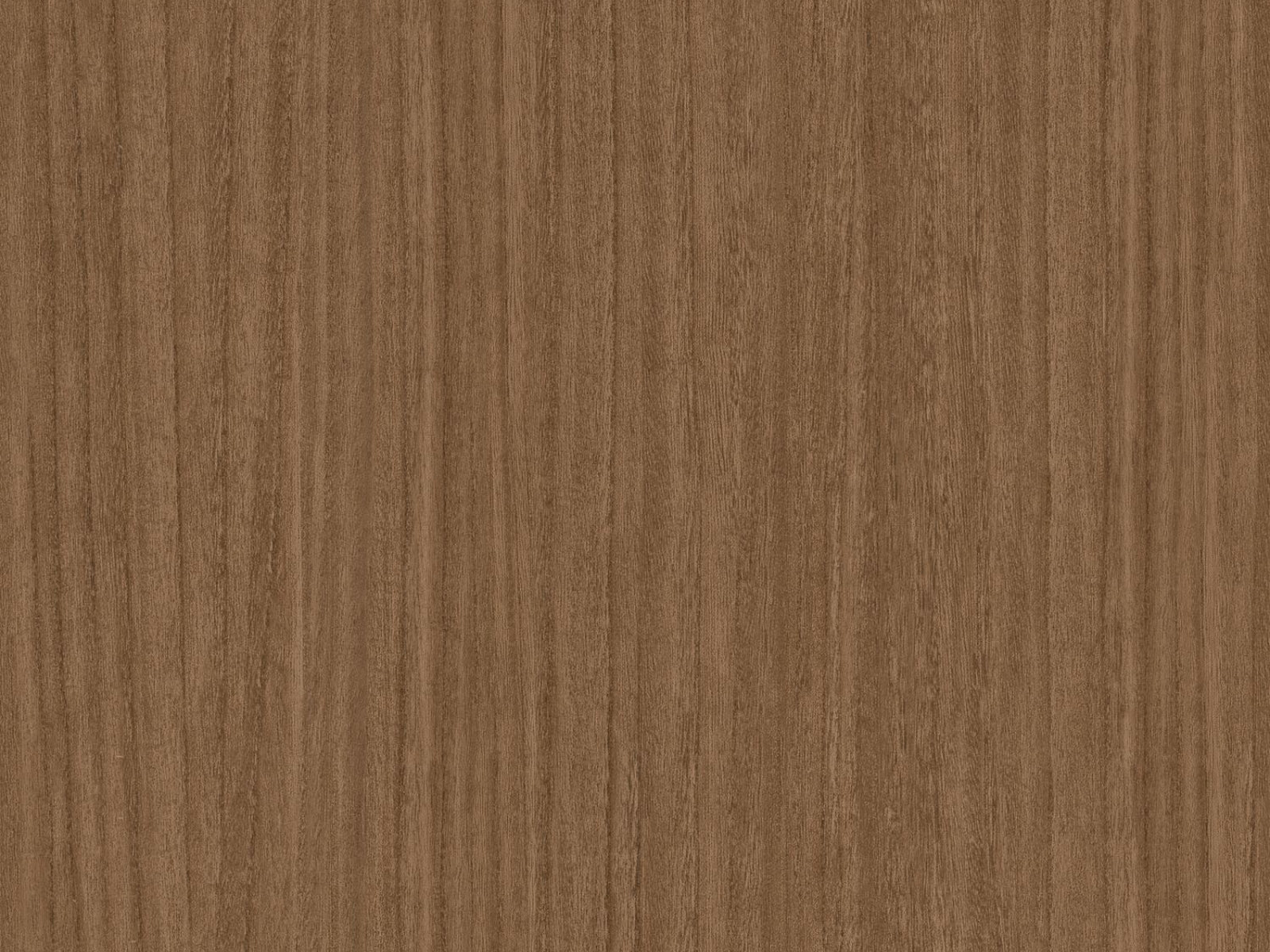 Casamance Lanzea Zebrano - 75763772