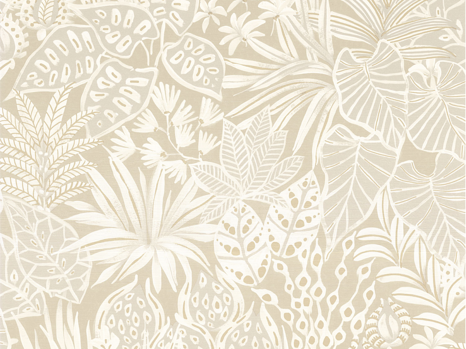 Casamance Golfe du Bengale Madhuca - 75950712
