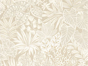 Casamance Golfe du Bengale Madhuca - 75950712