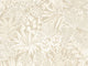 Casamance Golfe du Bengale Madhuca - 75950712