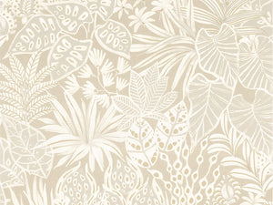 Casamance Golfe du Bengale Madhuca - 75950712