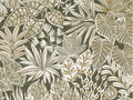 Casamance Golfe du Bengale Madhuca - 75950814