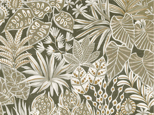 Casamance Golfe du Bengale Madhuca - 75950814