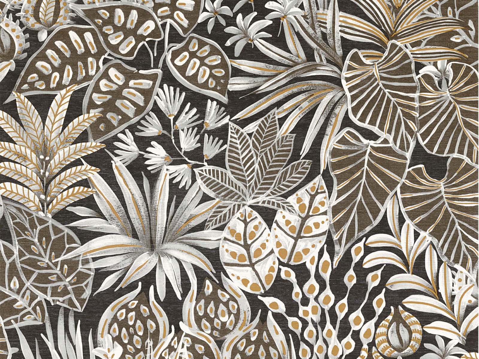 Casamance Golfe du Bengale Madhuca - 75950916