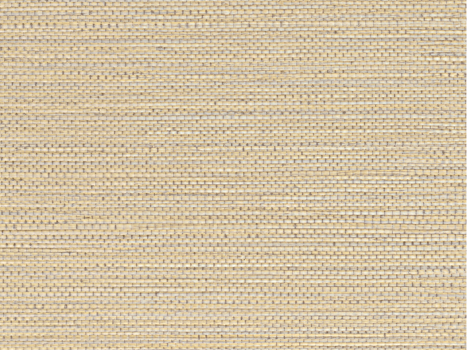 Casamance Select 8 Zostera - A75971630