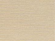 Casamance Golfe du Bengale Zostera - 75971630