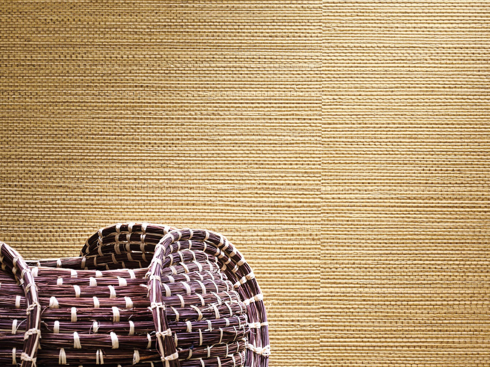 Casamance Select 8 Zostera - A75971936