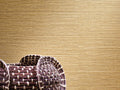 Casamance Golfe du Bengale Zostera - 75971936