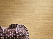 Casamance Golfe du Bengale Zostera - 75971936
