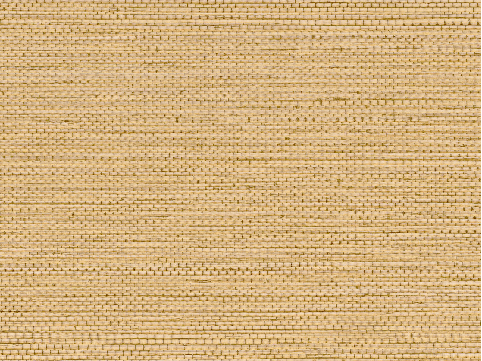 Casamance Golfe du Bengale Zostera - 75971936