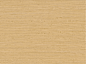 Casamance Golfe du Bengale Zostera - 75971936