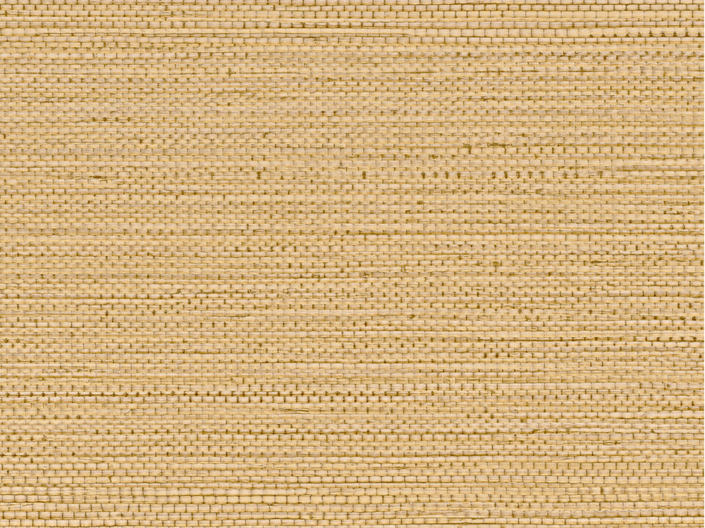 Casamance Golfe du Bengale Zostera - 75971936