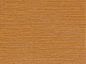 Casamance Golfe du Bengale Zostera - 75972038