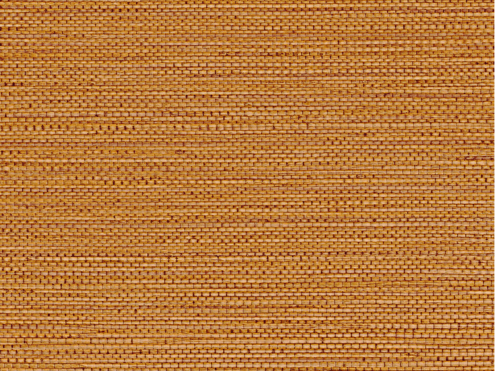 Casamance Golfe du Bengale Zostera - 75972038