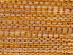 Casamance Golfe du Bengale Zostera - 75972038