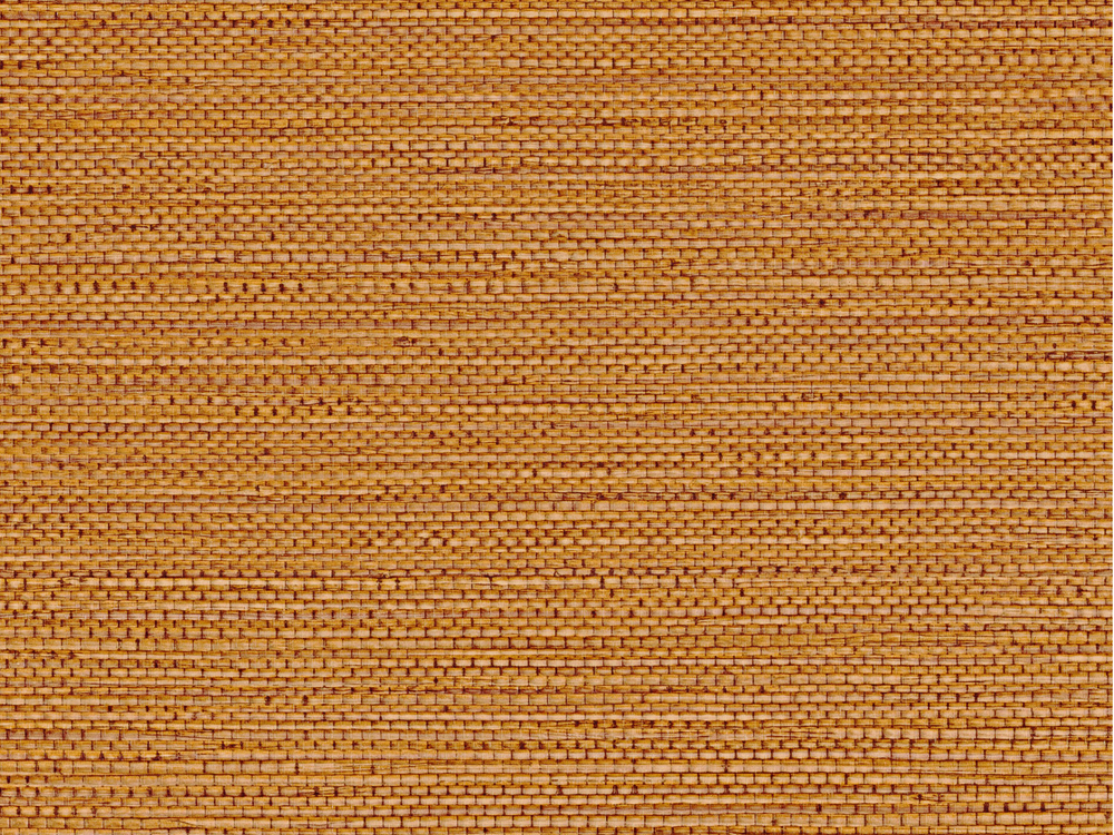 Casamance Golfe du Bengale Zostera - 75972038