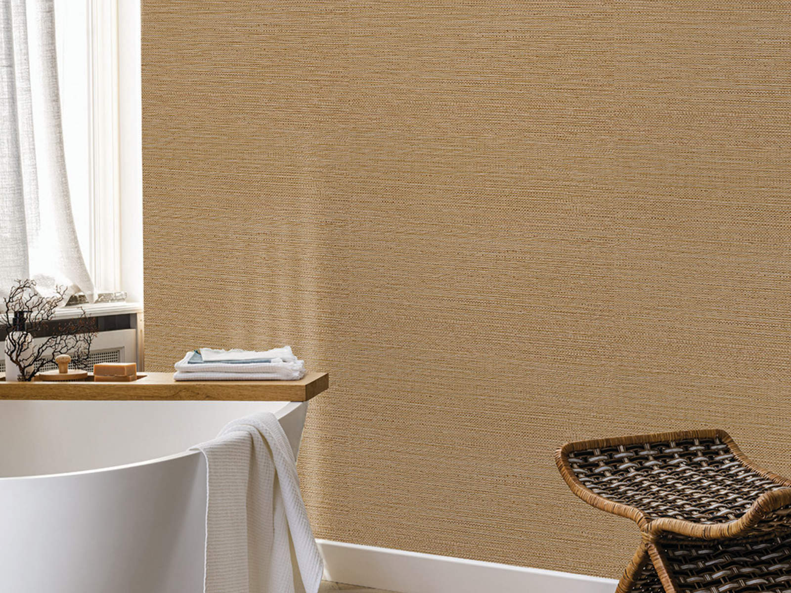 Casamance Golfe du Bengale Zostera - 75972140