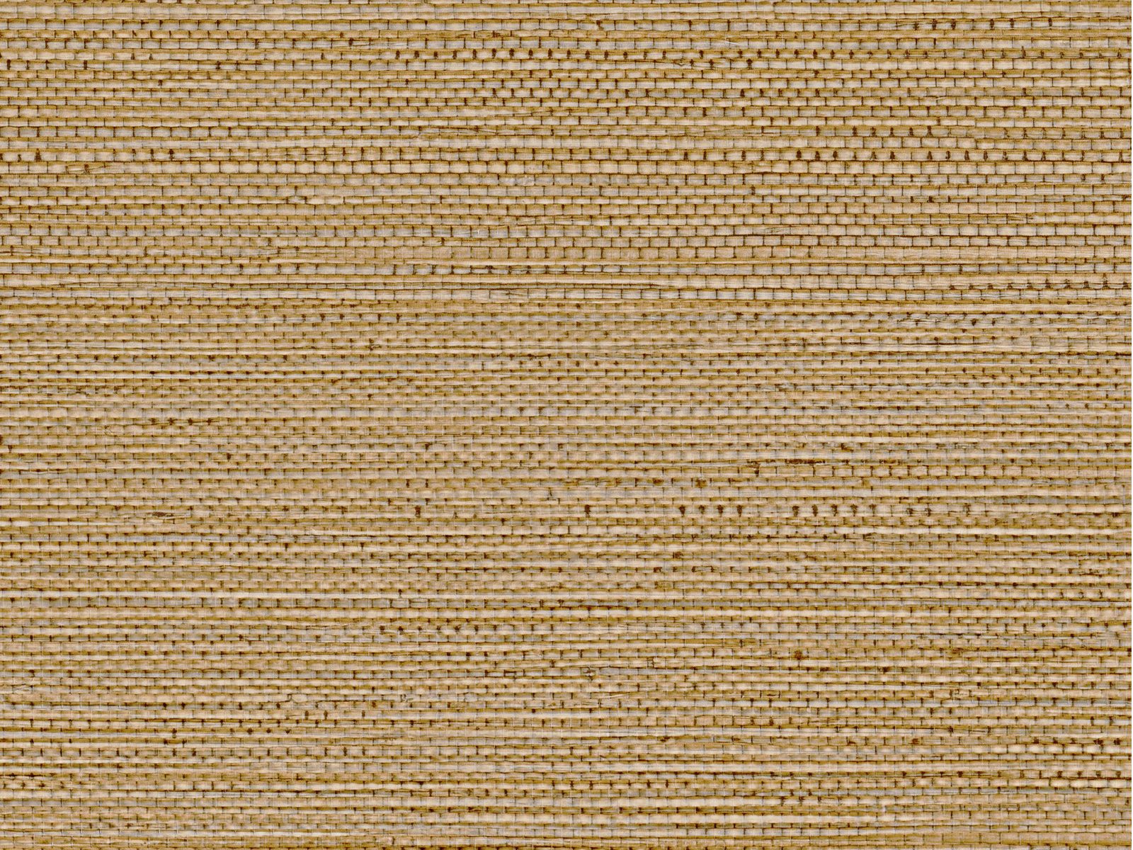 Casamance Select 8 Zostera - A75972140