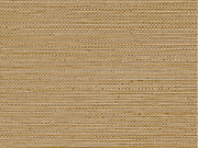 Casamance Golfe du Bengale Zostera - 75972140