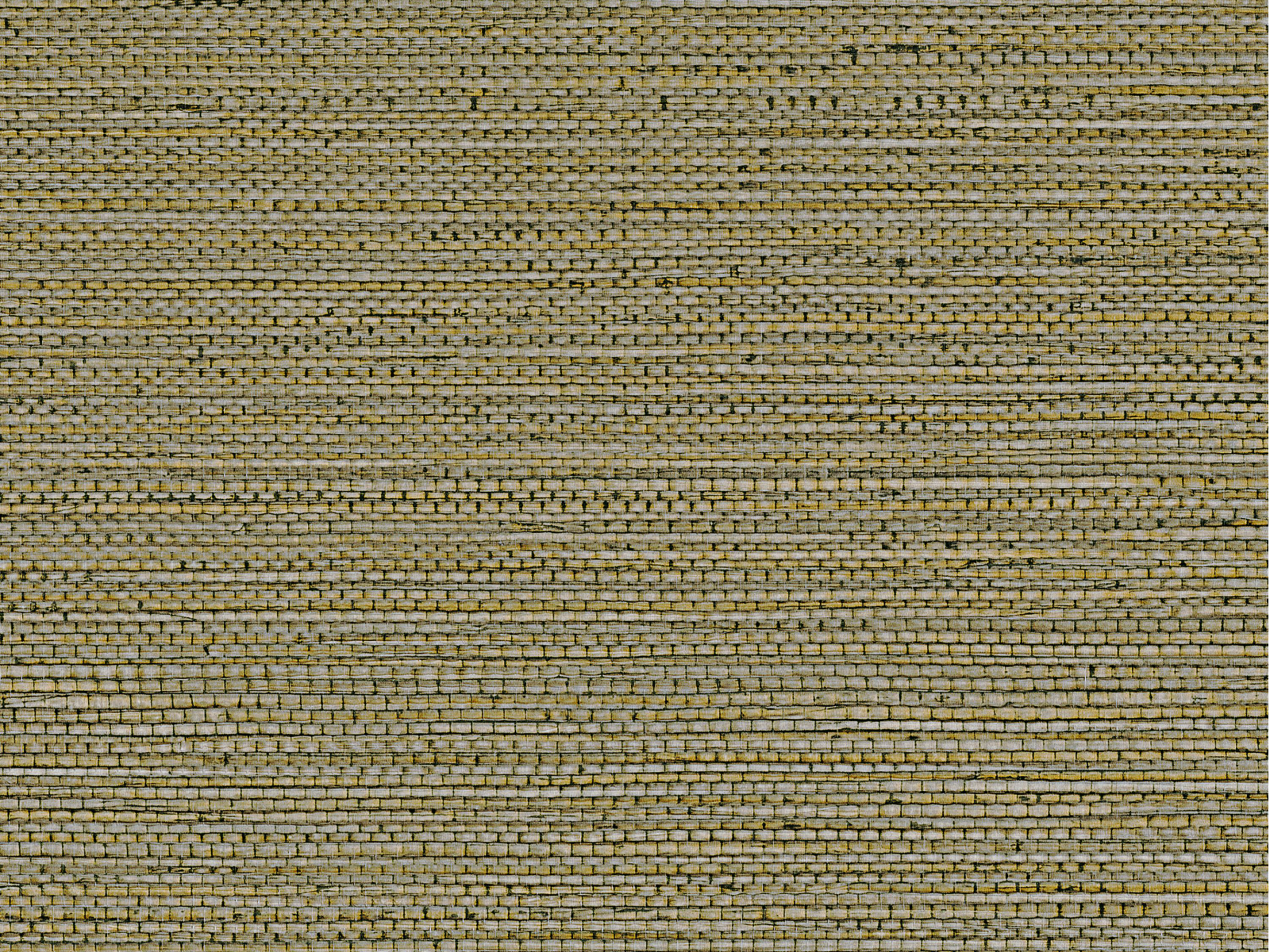 Casamance Select 8 Zostera - A75972242