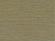 Casamance Golfe du Bengale Zostera - 75972242