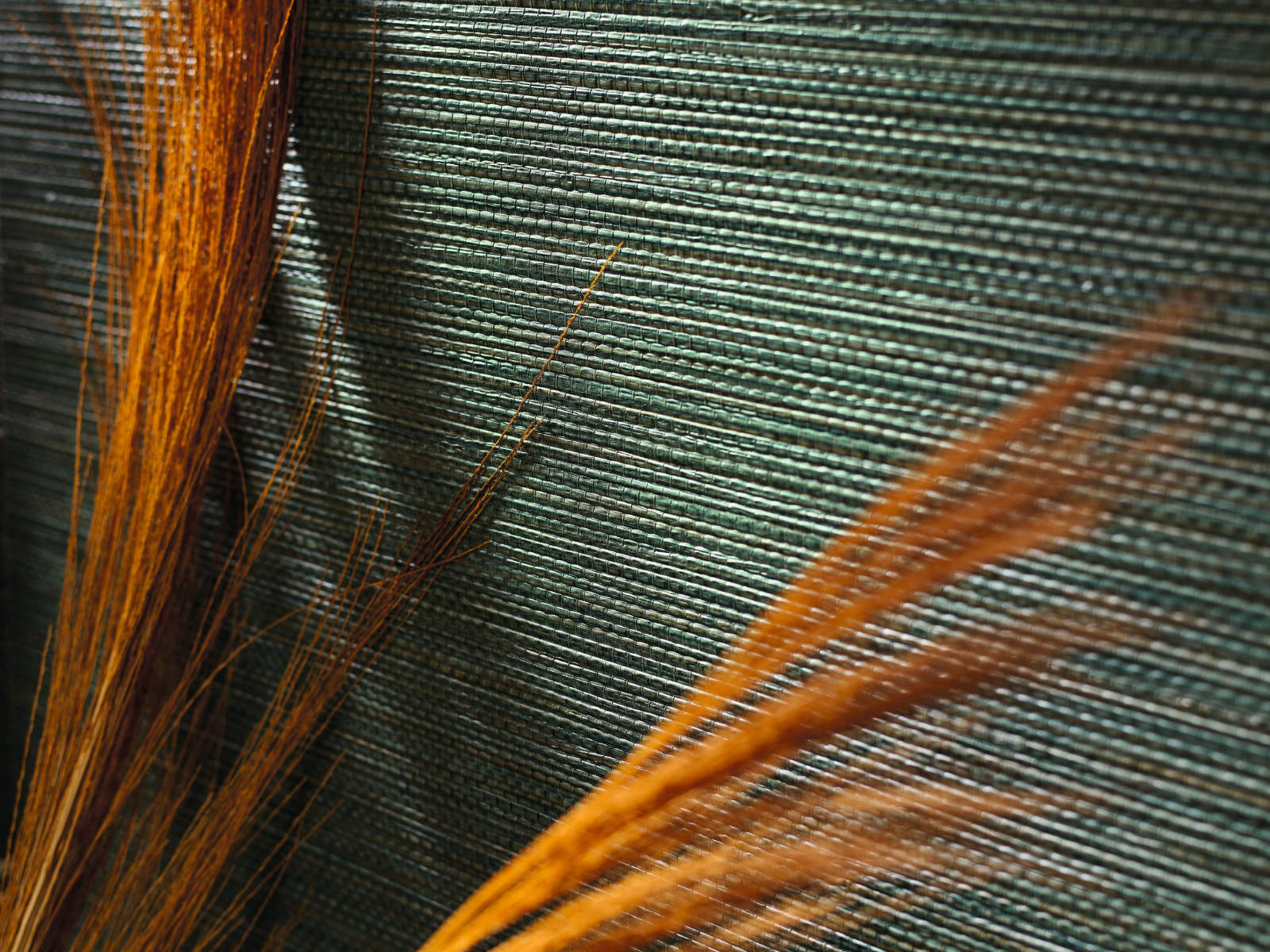 Casamance Select 8 Zostera - A75972344