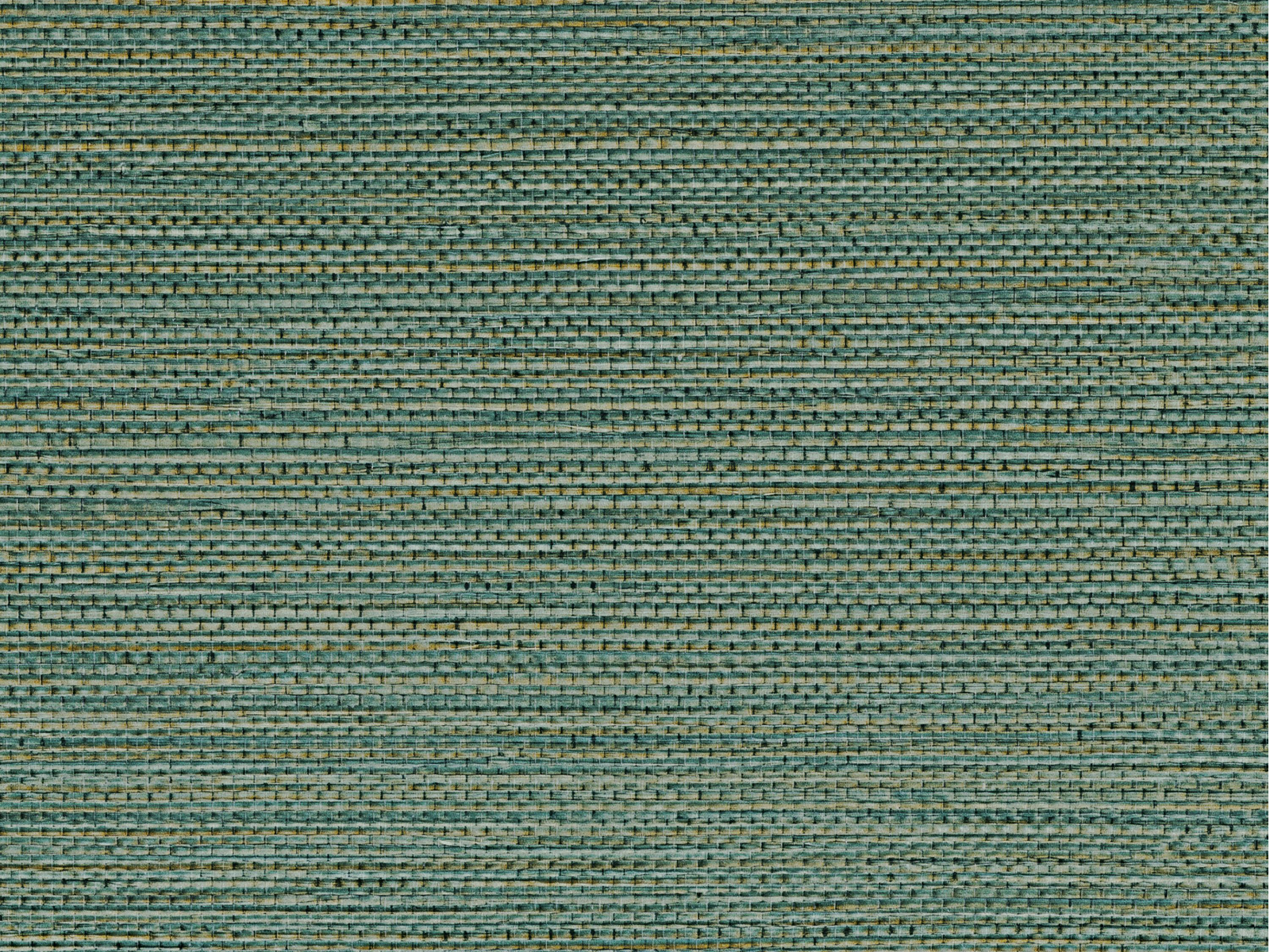 Casamance Golfe du Bengale Zostera - 75972344