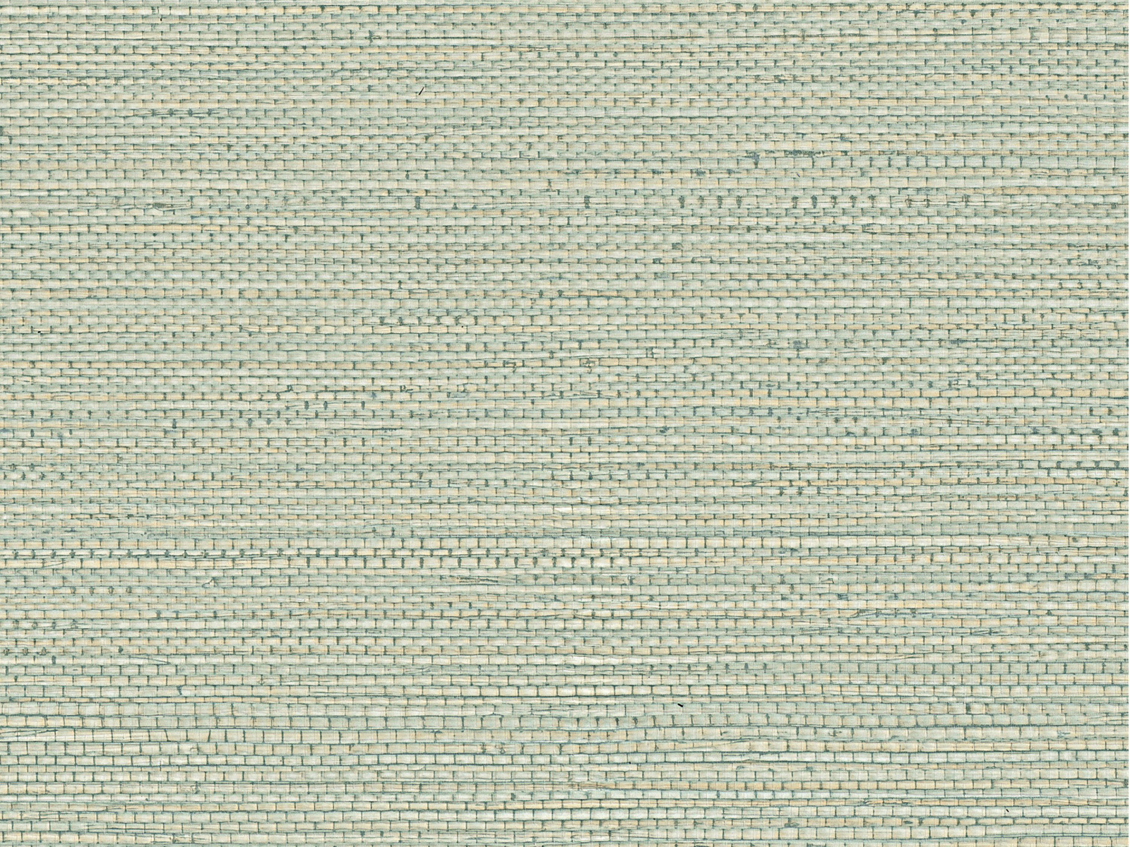 Casamance Golfe du Bengale Zostera - 75972446